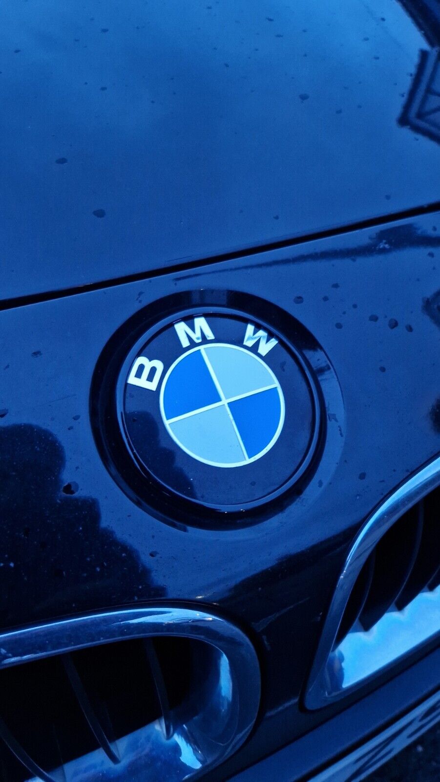 BMW 5 Series Gloss Black Badge Ring Cover Roundel F10 F11 F07 M5 2010 - 2017 - Custom My Ride