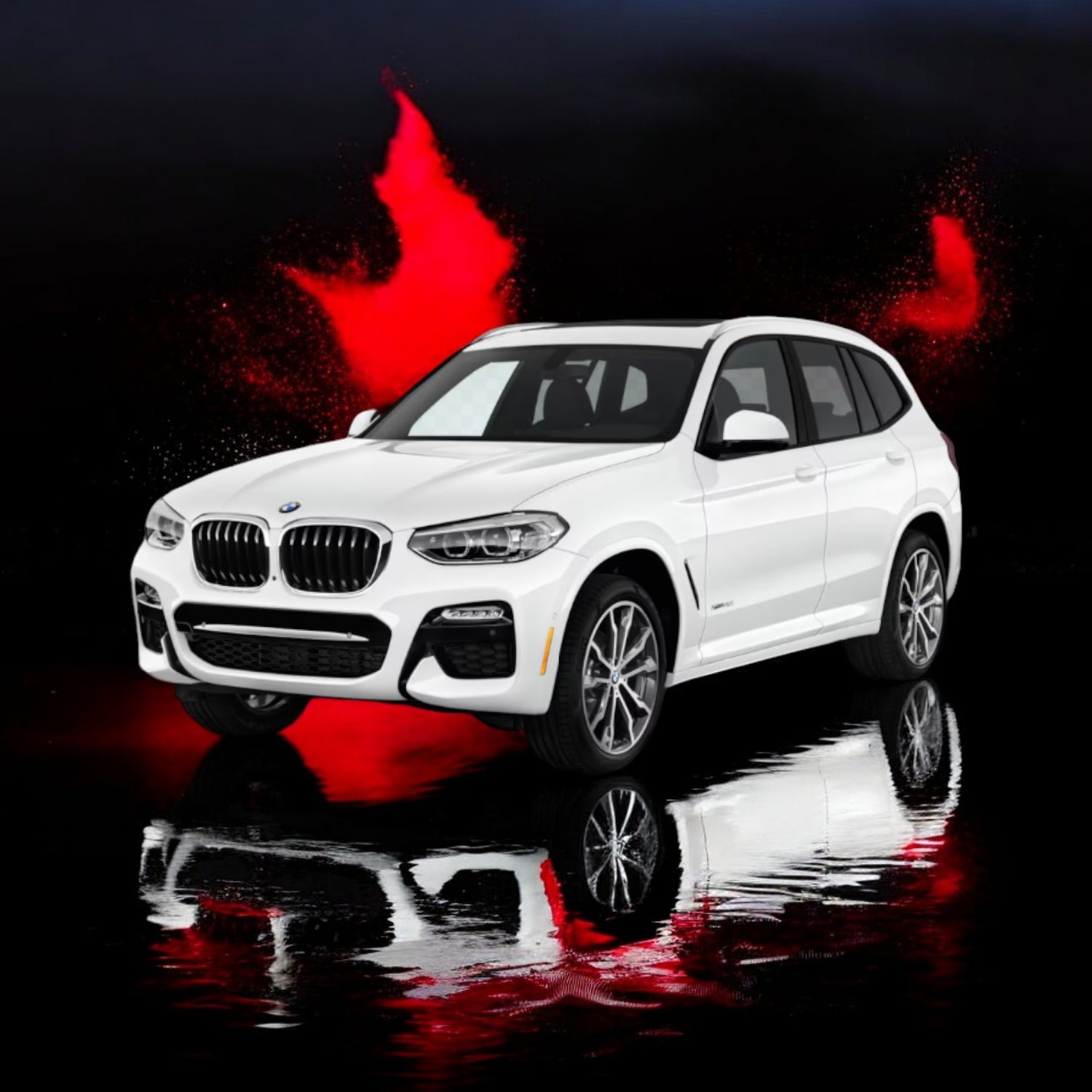 BMW X3 - F25