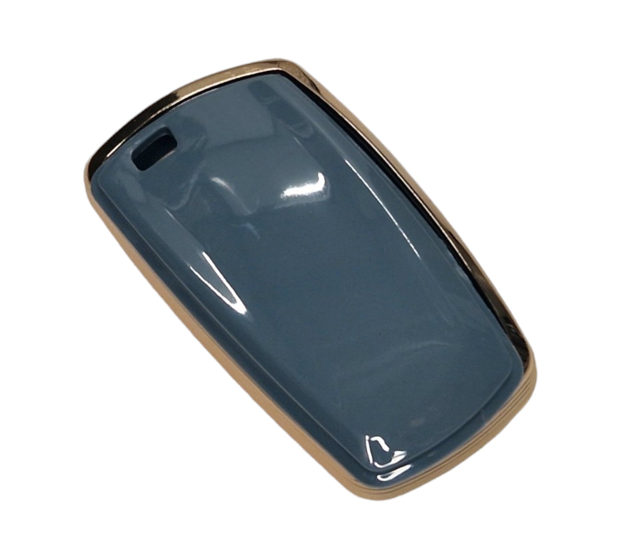BMW Blue and Gold Key Fob Cover F20
