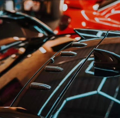 FK8 Vortex Generators - Carbon Fibre - Civic MK10 - Custom My Ride